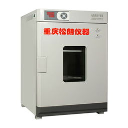 精密鼓風(fēng)干燥箱烘箱 dhg